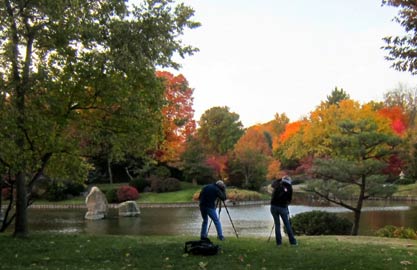 Photographers in the Japanese Garden