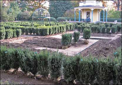 Planting of the maze