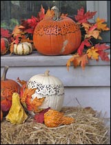 decorated pumpkins