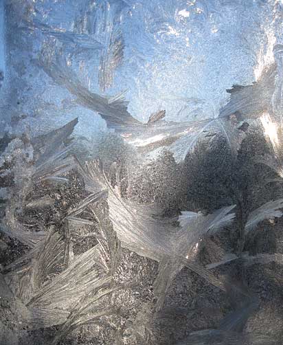 Frost flowers