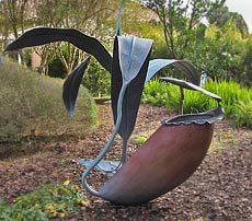 Pitcher Plant by Rick Sgrillo