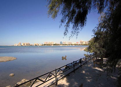 From Selby a view across Sarasota Bay 