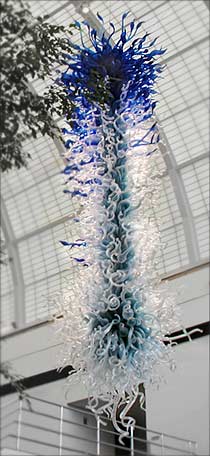 "Jerusalem Blue"  Dale Chihuly 