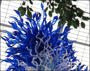 "Jerusalem Blue:  Dale Chihuly