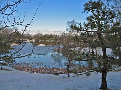 Japanese Garden