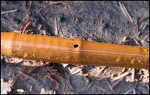 drip irrigation system