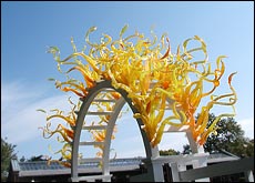 Dale Chihuly at Missouri Botanical Garden