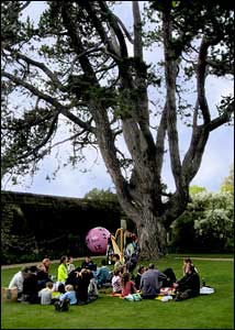 J. R. R. Tolkien's favorite tree, Oxford Botanic Garden