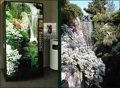 Azaleas Indoors and Out