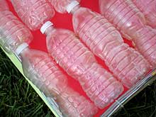 plastic bottled glued to Chinese junk boat lantern