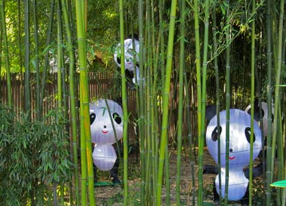 Panda lanterns in yellow-groove bamboo stand
