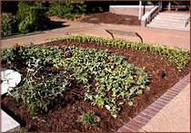 First look at the display gardens