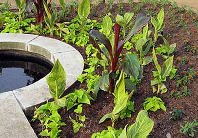 recently planted summer display beds 
