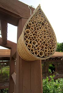 Mason Bee House