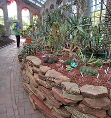 Stone planter in Linnaean House