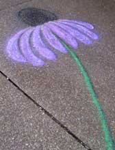 Chalk drawing of a purple cone flower