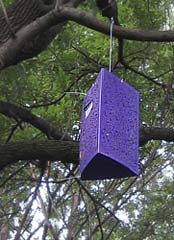 Emerald Ash Borer trap