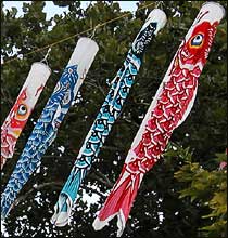 Koi Windsocks
