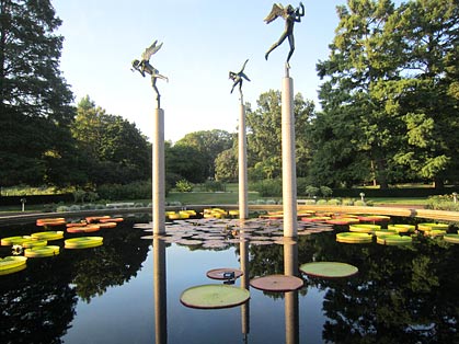 Victoria water lilies in reflecting pond: Missouri Botanical Garden