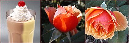 Side-By-Side Milk Shake is a trademark of Steak 'n Skake