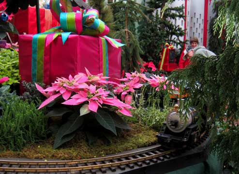Holiday Train and Flower Show