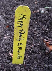 Markers of spring bulb varieties