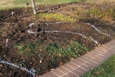 Markings for planting bulbs