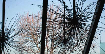 dried allium holiday decorations