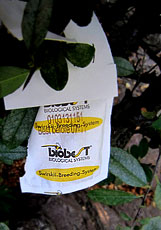 BioBest tag