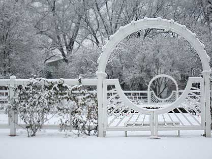 Missouri Botanical Garden: Rose Garden