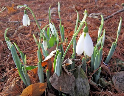 RAWS Weather Station