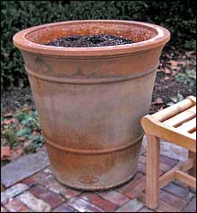 Lonshadow planter