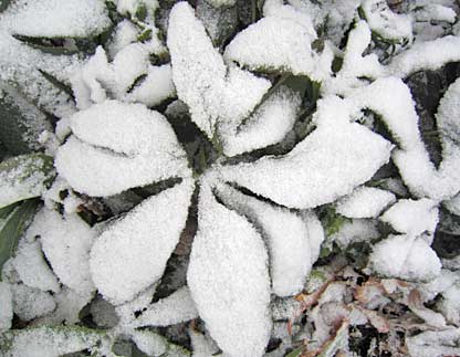 RAWS Weather Station