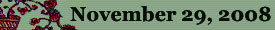 November 29, 2008
