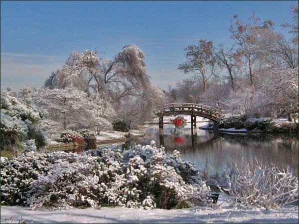 Chihuly chandelier: Drum bridge, Japanese Garden