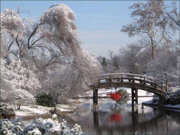 Chihuly chandelier: Drum bridge, Japanese Garden