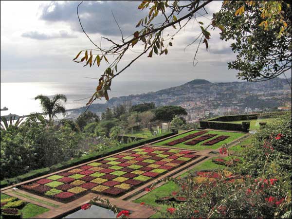 Choreographed Gardens