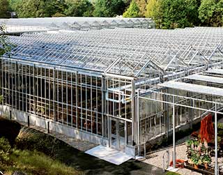 The New York Botanical Garden media release