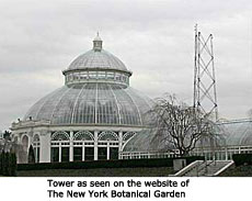 New York Botanical Garden 2001 website photo
